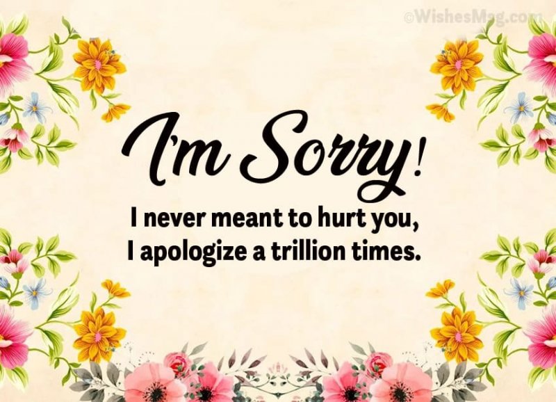 I’m-Sorry-Message.jpg